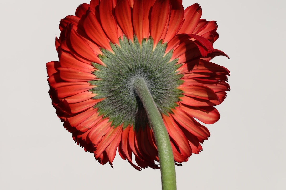 Is an Agreement the Same as a Contract? Here's What to Know for Your Online Business