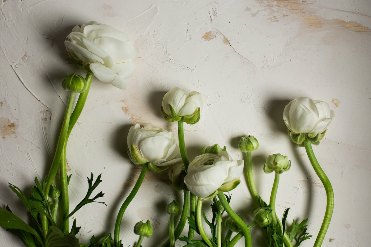 NDAs 101: How to Protect Your Ideas, Clients, and Content (Before You Share Them)