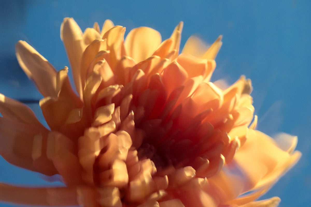 Are Online Business Contract Templates Reliable? How to Know What (and Who) to Trust