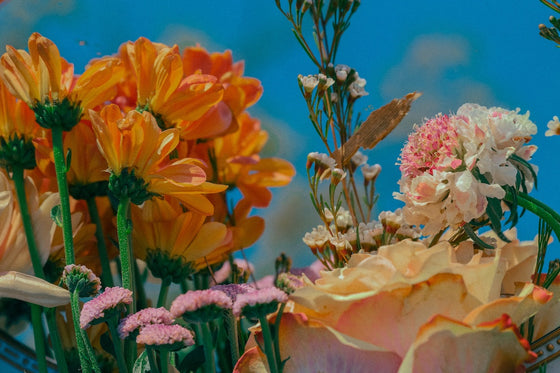 3 Common Legal Mistakes To Avoid When DIY-ing Your Legal Policies – The ...