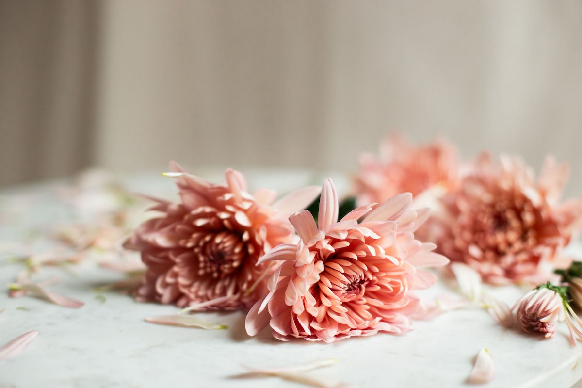 How to Legally Protect Your Affiliate Marketing Program (Before Q4 Promo Season Hits)