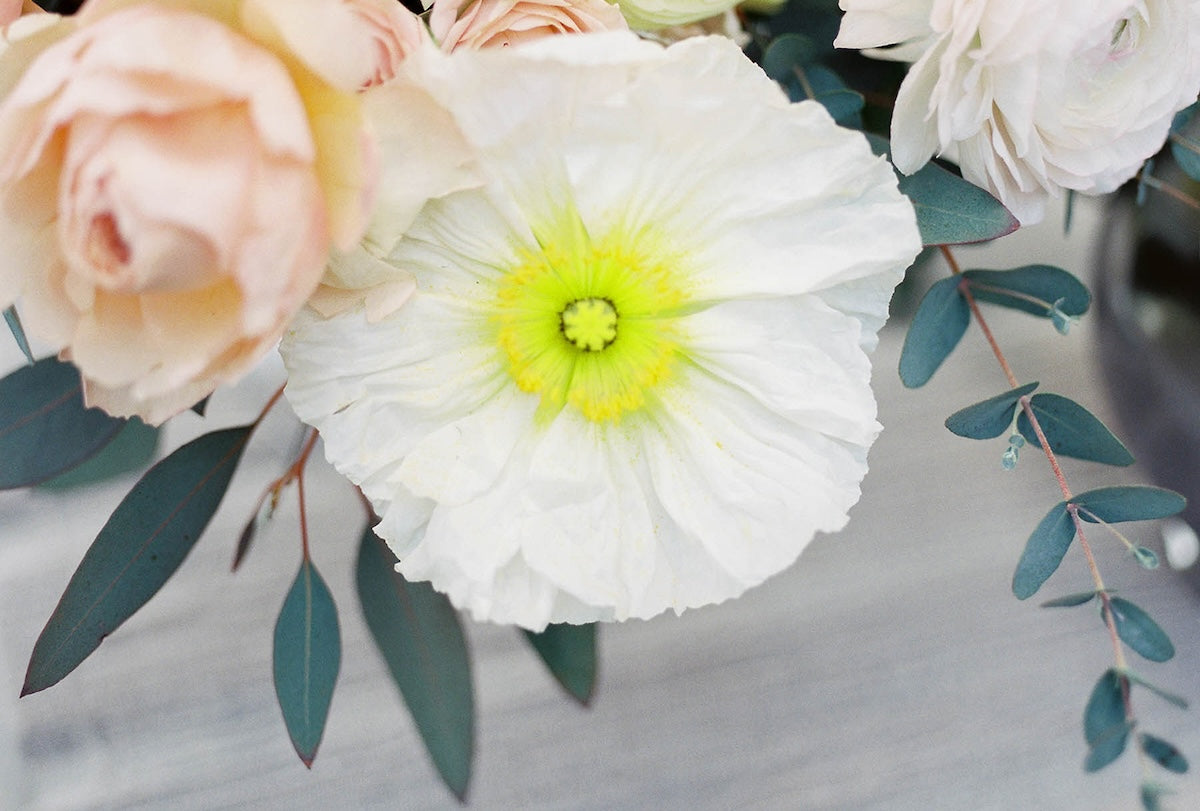 Retainers vs. Non-Refundable Deposits: What's the Difference?