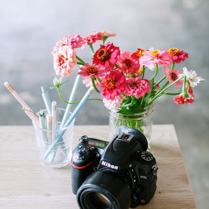 An Online Business Owner’s Guide to Understanding Brand Photography Usage Rights