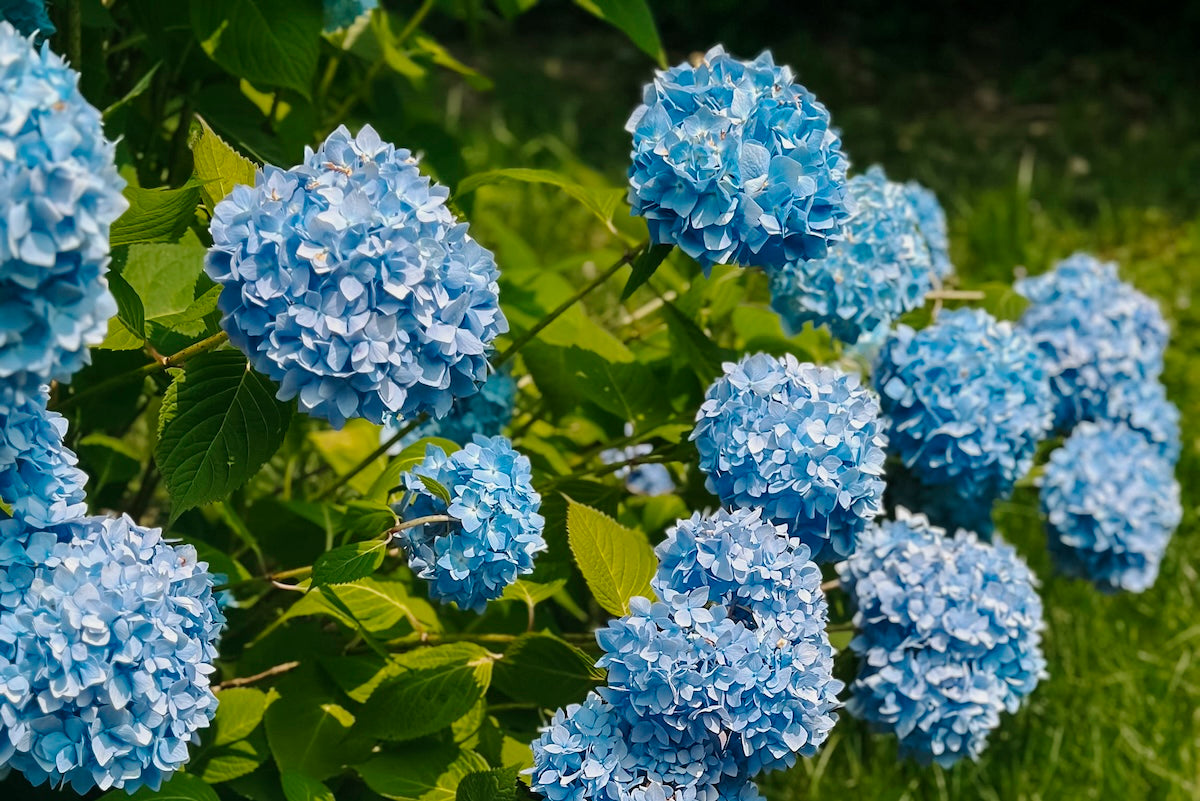 How to Create a Cancellation Policy for Your Service-Based Business