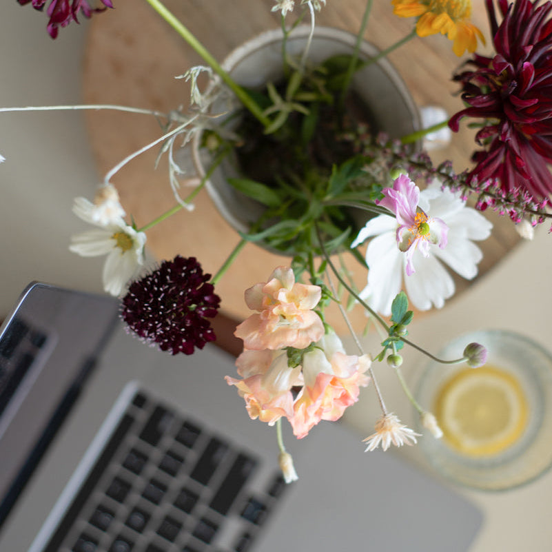 The Email Marketing Membership That Changed My Business